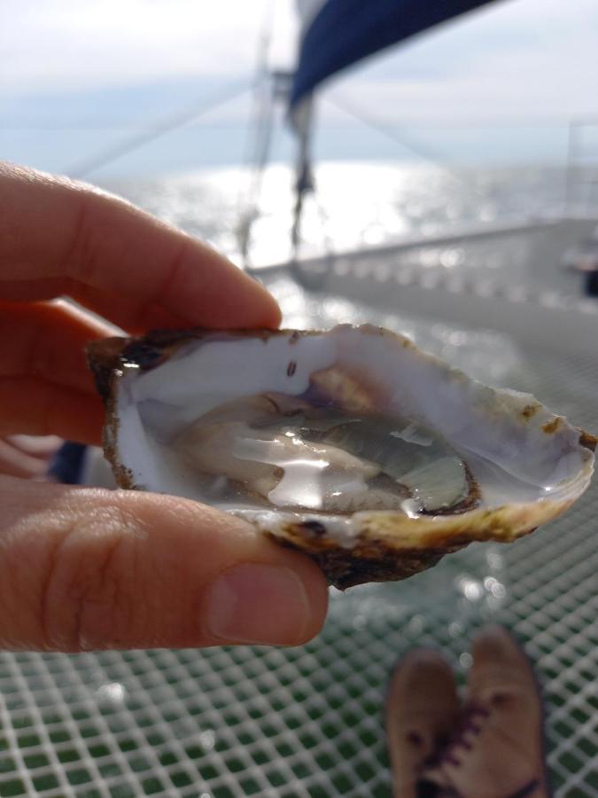 Terre En Vue Otel La Rochelle  Dış mekan fotoğraf